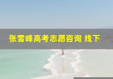 张雪峰高考志愿咨询 线下